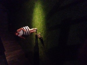 IMG_1958